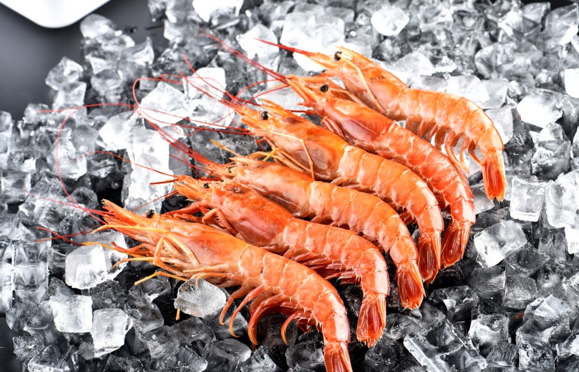 Freshly Cooked Tips: How Long Can Cooked Shrimp Stay in the Fridge