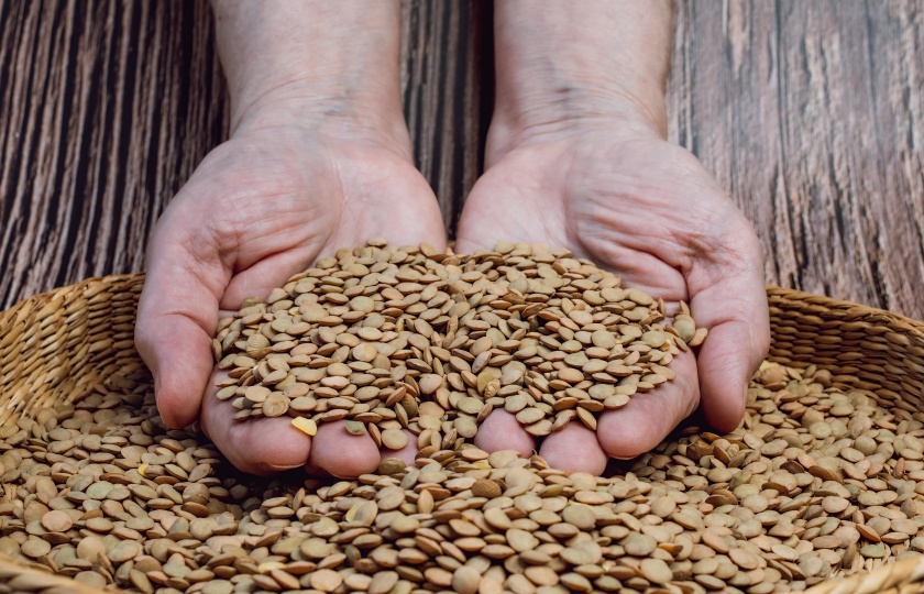 Mastering the Skill: Cooking Lentils in Rice Cooker