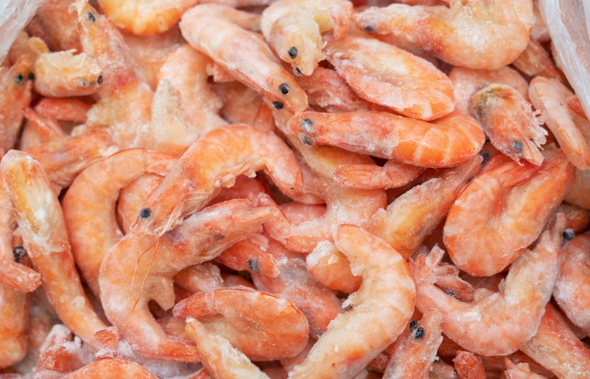 Shrimp