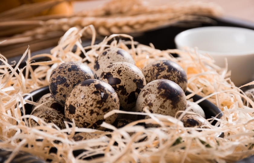 Quail eggs