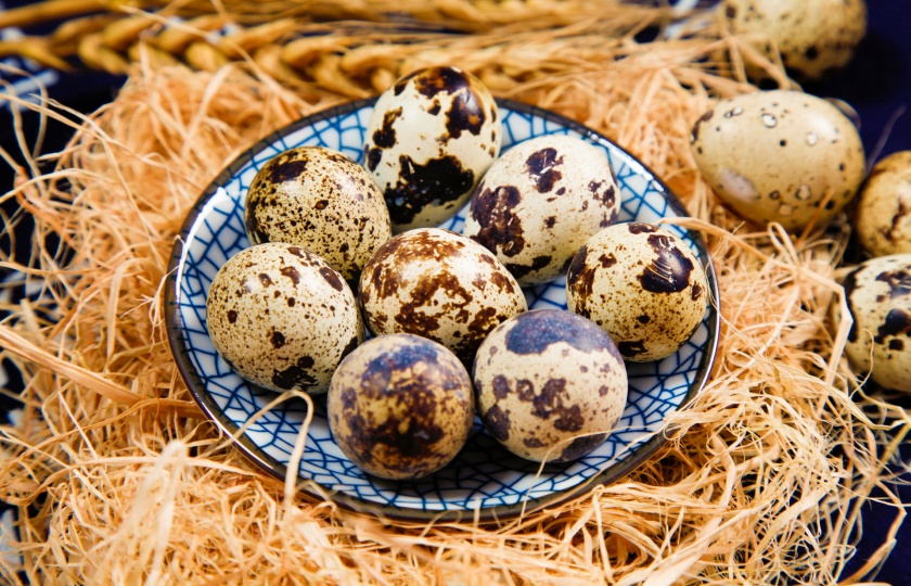 Simple Delicacy: How to Cook Quail Eggs