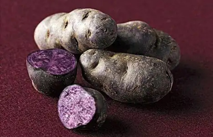 Purple potato