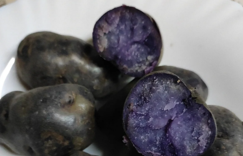 Purple potato