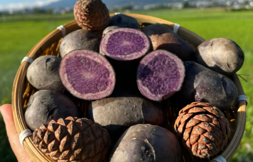 Diet-conscious? Let's compare: Purple potatoes nutrition vs white potatoes