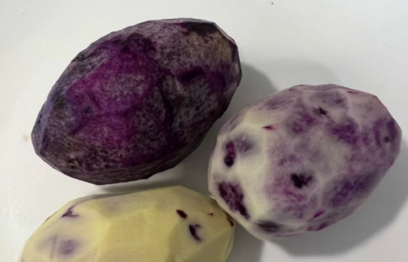 Purple potato