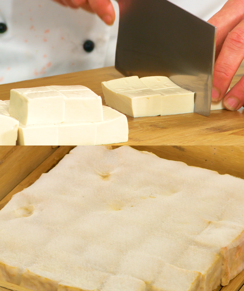 Tofu fermentation