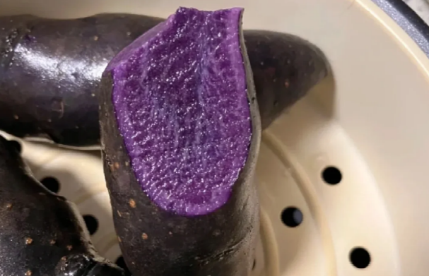 Purple potato