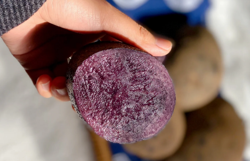 Purple potato