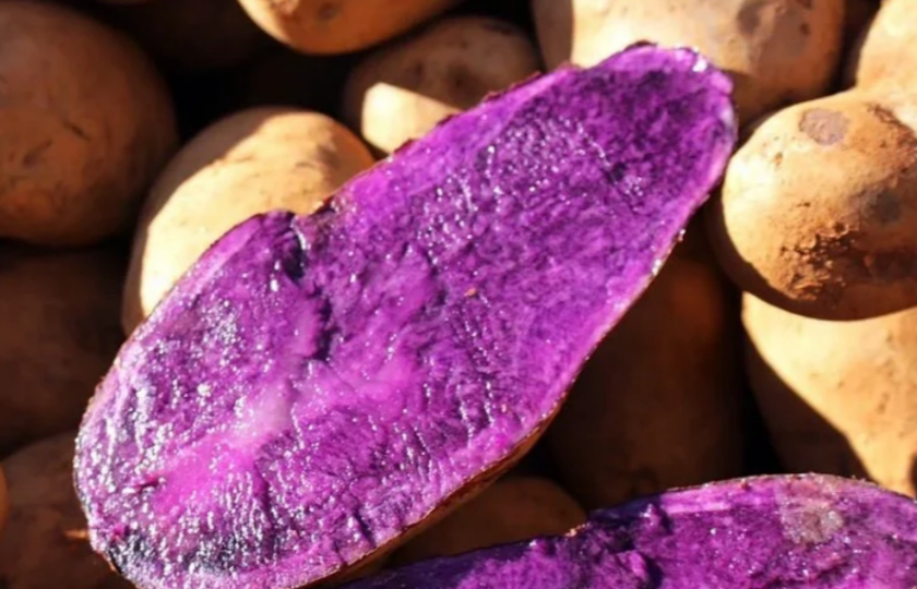 Purple potato