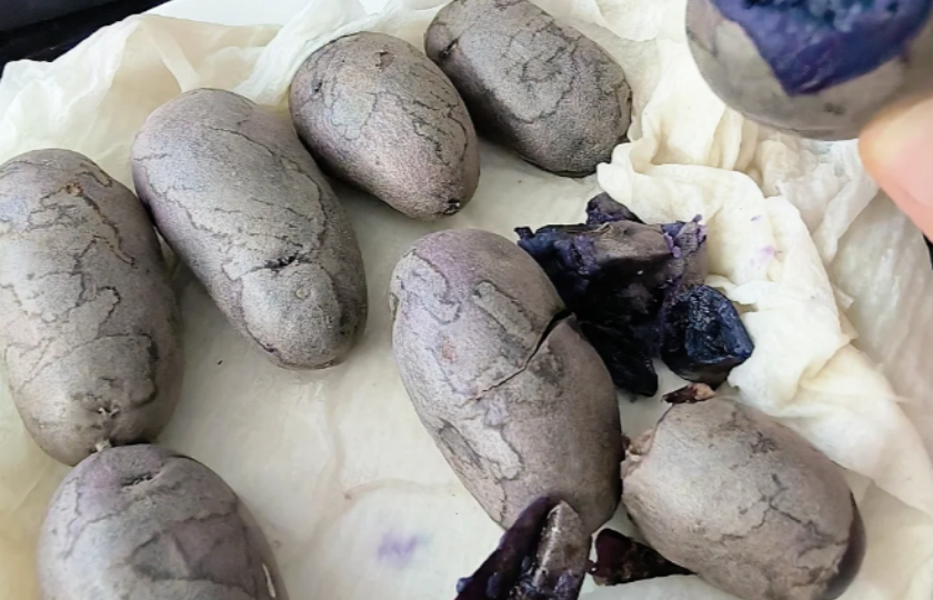 Purple potato