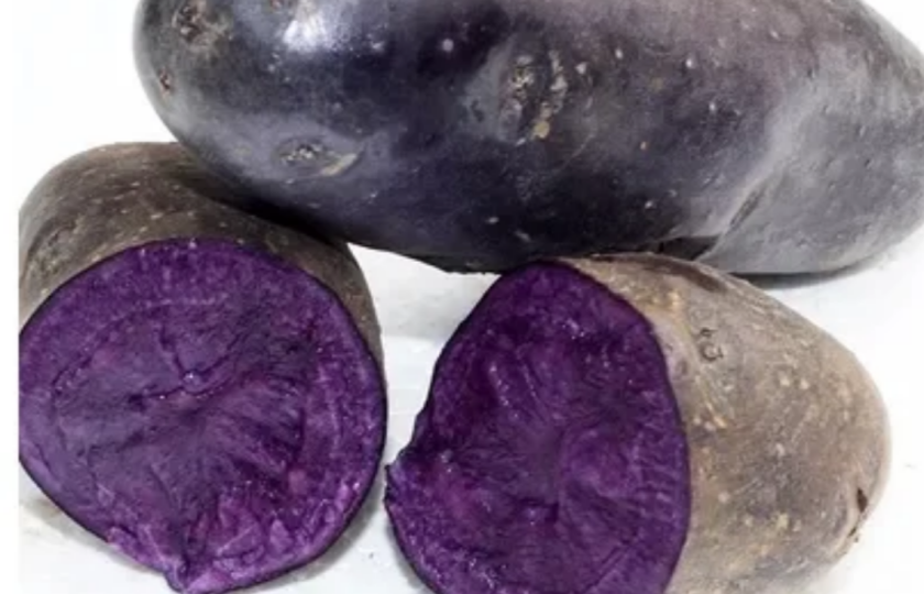 Purple potato