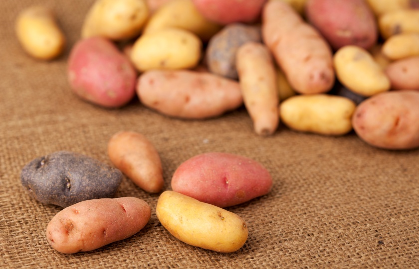 Purple vs Yellow Potatoes: Understanding the Differences