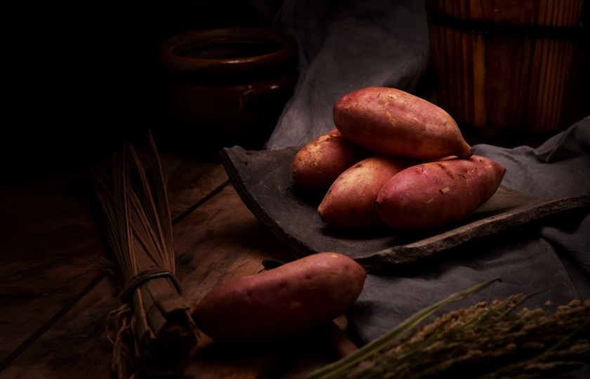 Where Can I Store Sweet Potatoes and Keep Bugs Away? Proven Methods